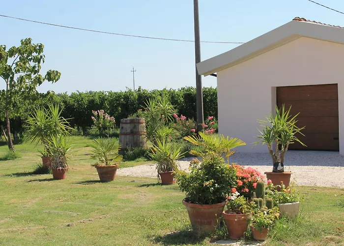 Apartman Casa Fiorita Castel Bolognese