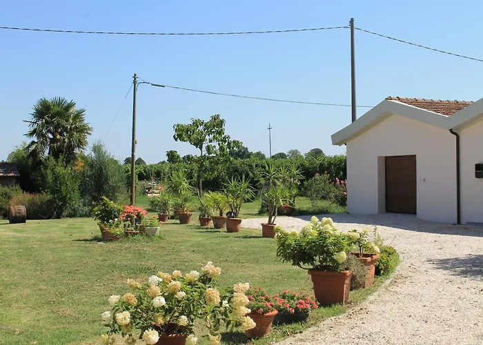 Daire Casa Fiorita Castel Bolognese